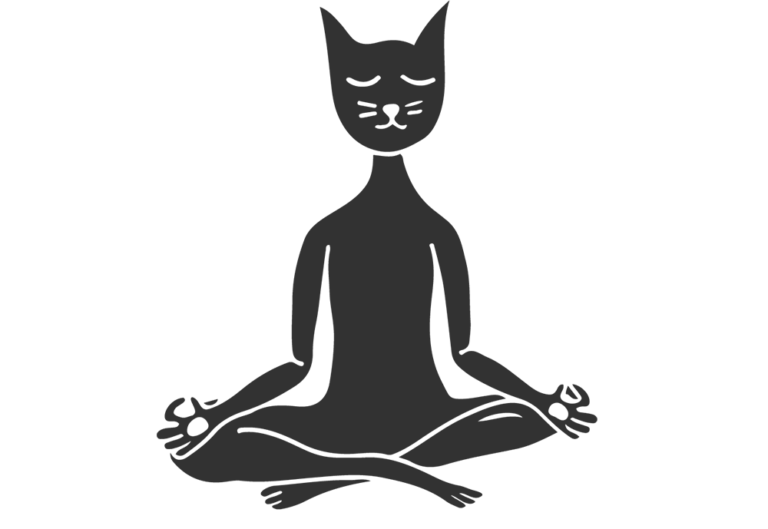 Gatito meditando